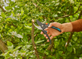 Gardena beskjæringssaks PremiumCut Pro